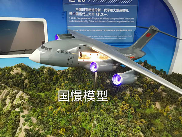 庆城县飞机模型